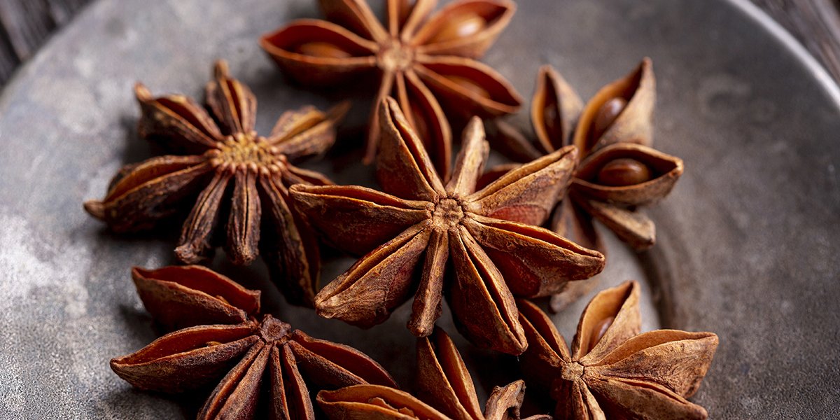 anise-Chá de anis: aroma doce-especiado. Veja benefícios, preparo, cuidados e tabela das sementes para usar com segurança no dia a dia.
