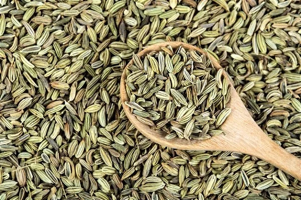 Fennel-tea-cha-de-erva-doce-beneficios-e-como-preparar