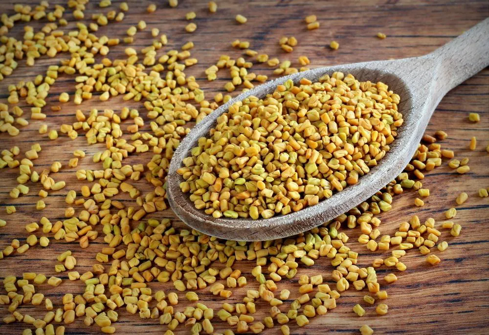 fenugreek-tea-cha-de-feno-grego