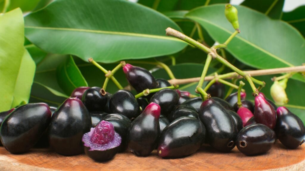 jambolan-tea-cha-de-jambolao-beneficios-e-como-preparar