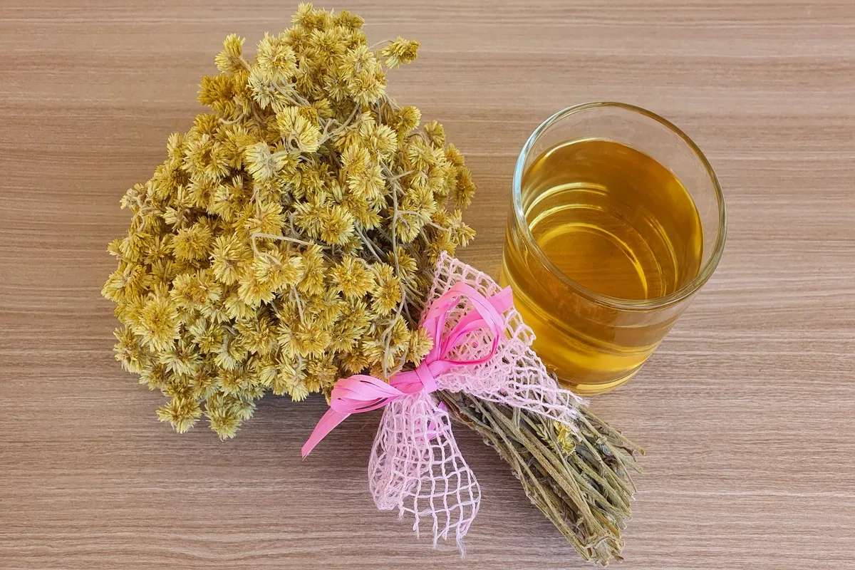 macela-tea-cha-de-macela