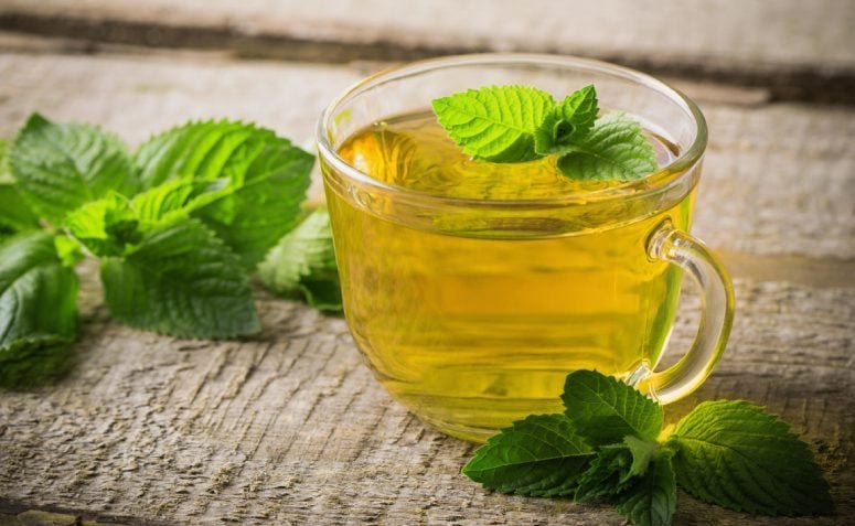 holy-basil-tea-cha-de-manjericao-beneficios-e-como-preparar