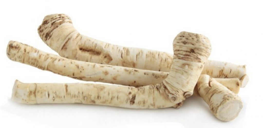 Horseradish-tea-cha-de-raiz-forte-beneficios-e-como-preparar