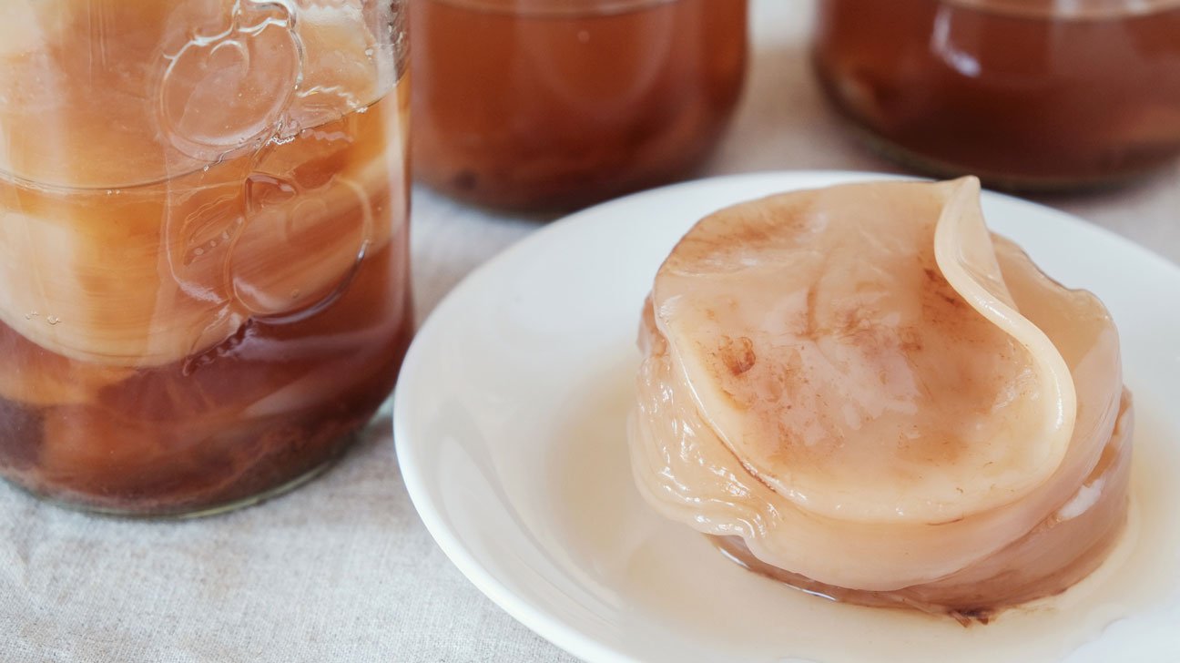 kombucha-beneficios-e-como-preparar